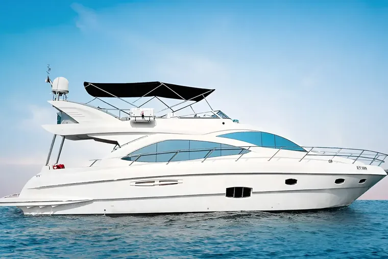 Iris 62
