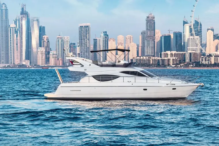 AMELIA 50